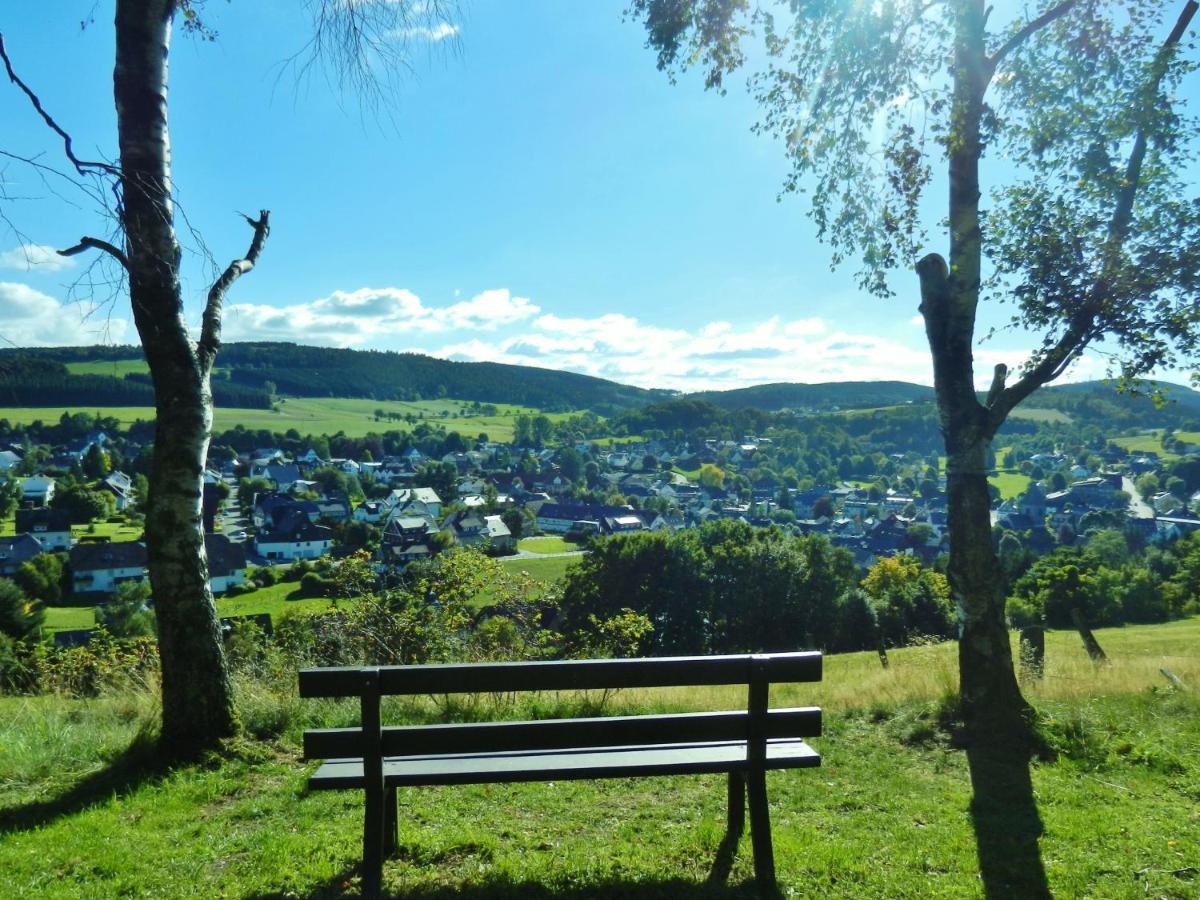 Fewo Blumes Bergfrieden Mit Meinecardplus วิลลิงเงิน ภายนอก รูปภาพ