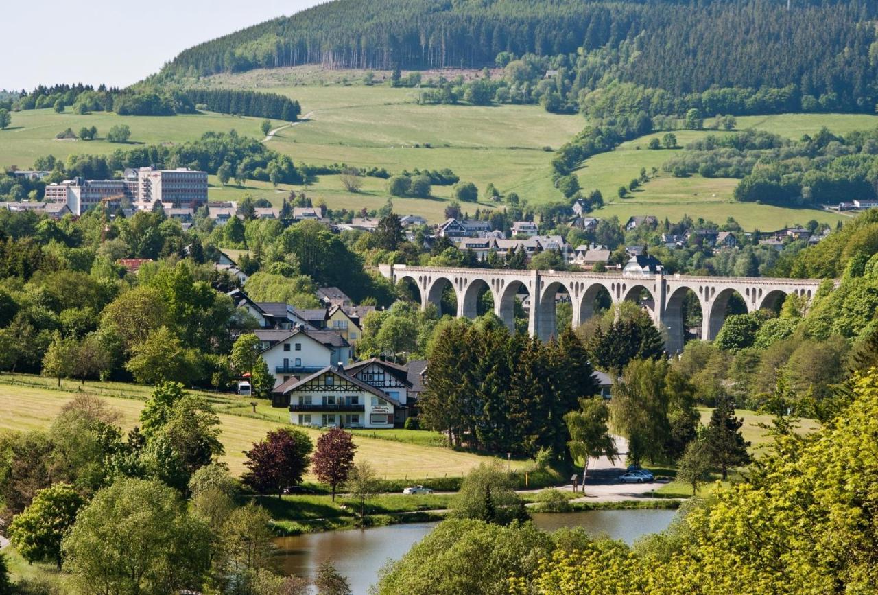 Fewo Blumes Bergfrieden Mit Meinecardplus วิลลิงเงิน ภายนอก รูปภาพ