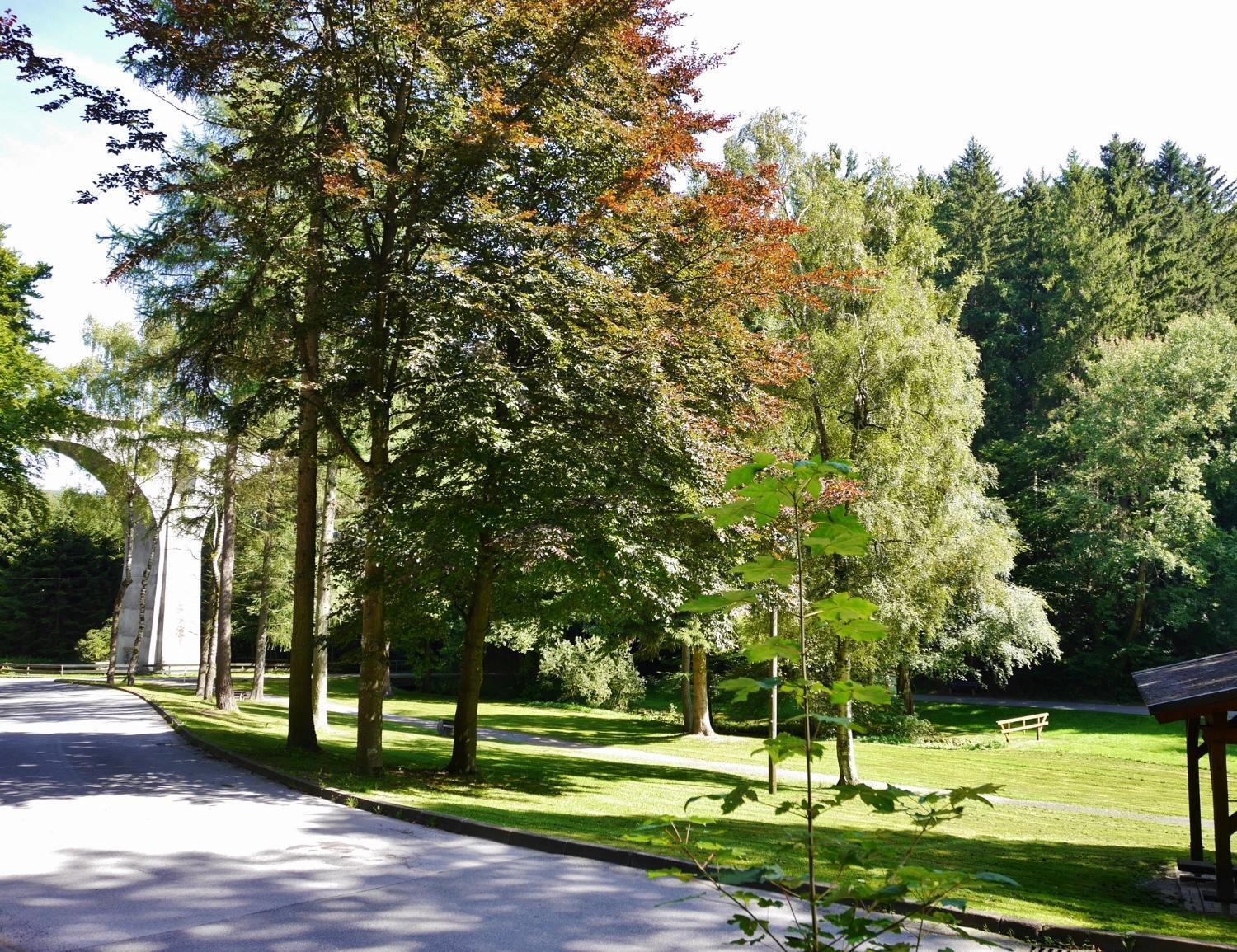 Fewo Blumes Bergfrieden Mit Meinecardplus วิลลิงเงิน ภายนอก รูปภาพ